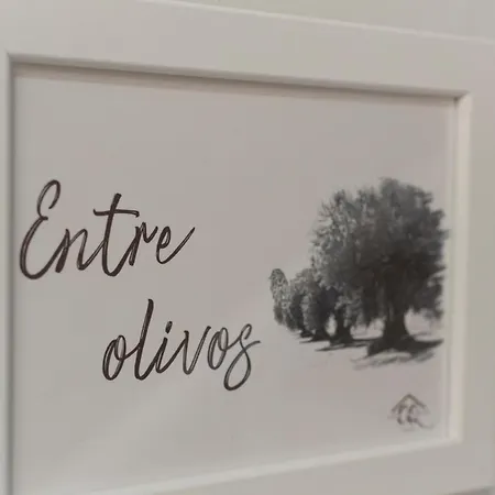 Homestay Vivienda Turistica Casa Quevedo